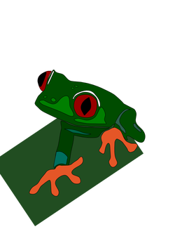 red-eye frog mirko maisc 01