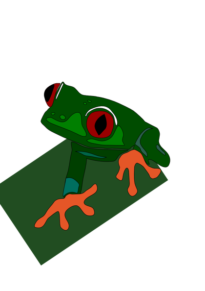 red-eye frog mirko maisc 01