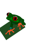 red-eye frog mirko maisc 01