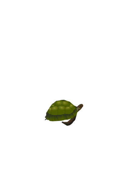 turtle jurgen gaeremyn 01