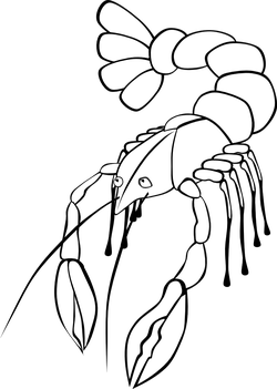 crawfish2 bw ganson