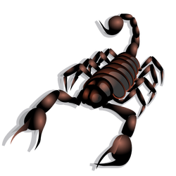 scorpion-md-v0.1