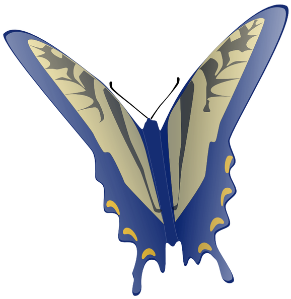 butterfly jonathan dietr 01