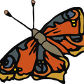 farfalla butterfly fra1