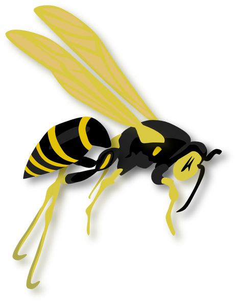 flying_wasp_gerald_g._02.png