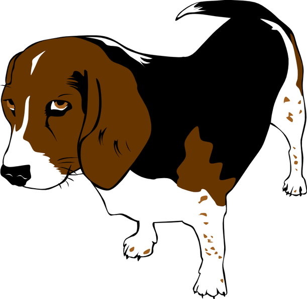 beagle copper ganson