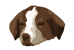 bored dog 01