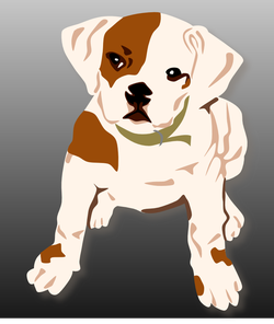 bulldog puppy ganson
