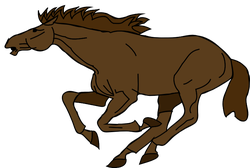 cavallo architetto franc 01