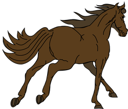 cavallo architetto franc 02
