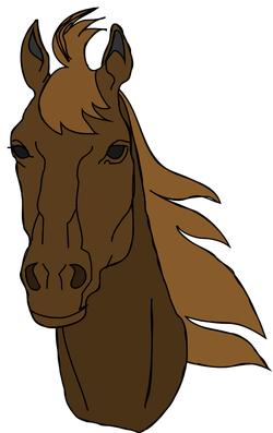 cavallo architetto franc 03