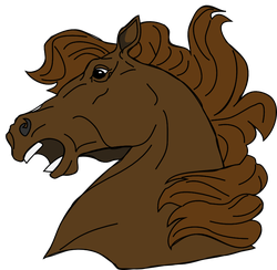 cavallo architetto franc 04