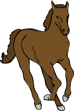 cavallo architetto franc 06