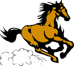 cavallo architetto franc 07