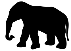 contour elephant