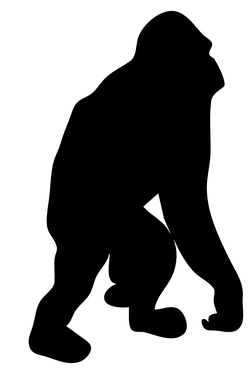 contour orangutan