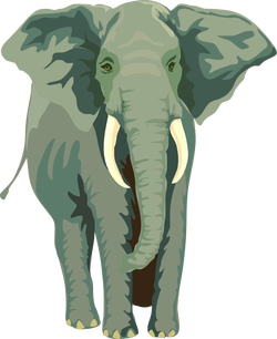 elefante01 architetto fr 01
