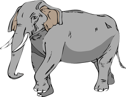 elefante02 architetto fr 01