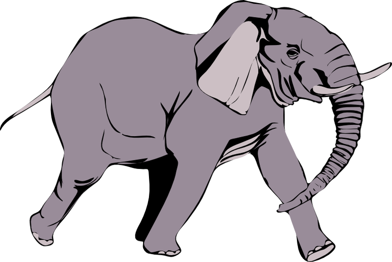 elefante in corsa