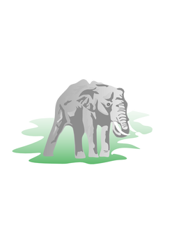 elephant 01