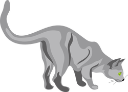 gatto cat architetto fra 02