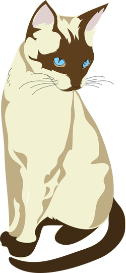 gatto cat architetto fra 04