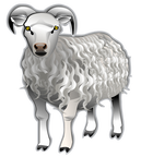 sheep-md-v0.1