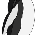 Pinguino1