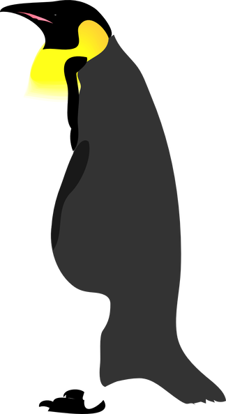 Pinguino2