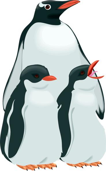 Pinguino3.png