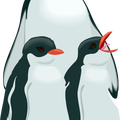 Pinguino3
