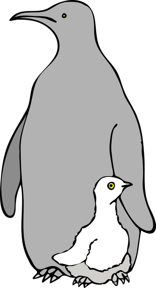 pinguino col piccolo arc 01