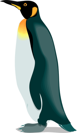 Pinguino4