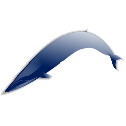 bluewhale-md
