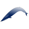 bluewhale-md