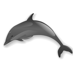dolphin