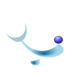 dolphin 01