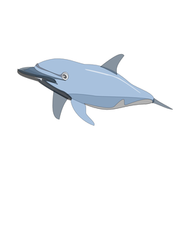 dolphin enrique meza c 01
