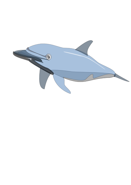 dolphin enrique meza c 01