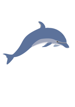 dolphin enrique meza c 02