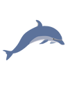 dolphin enrique meza c 02