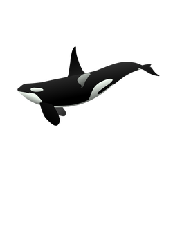 orca matthew gates r
