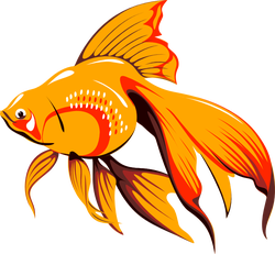 pescetto