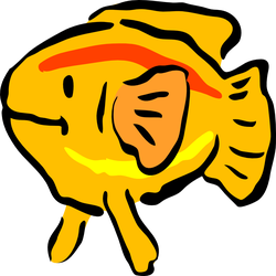 pescetto arancione archi 01