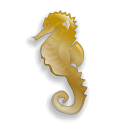 seahorse