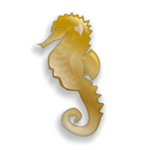 seahorse