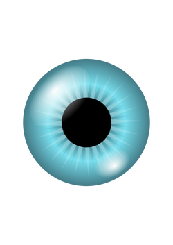 iris and pupil chris hin 01