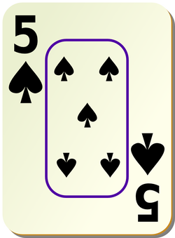 bordered s 5