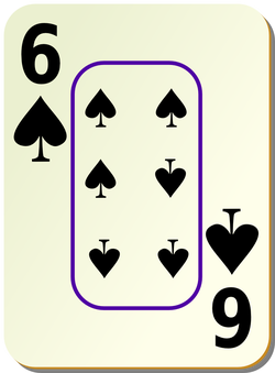 bordered s 6