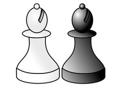 black and white bishop r